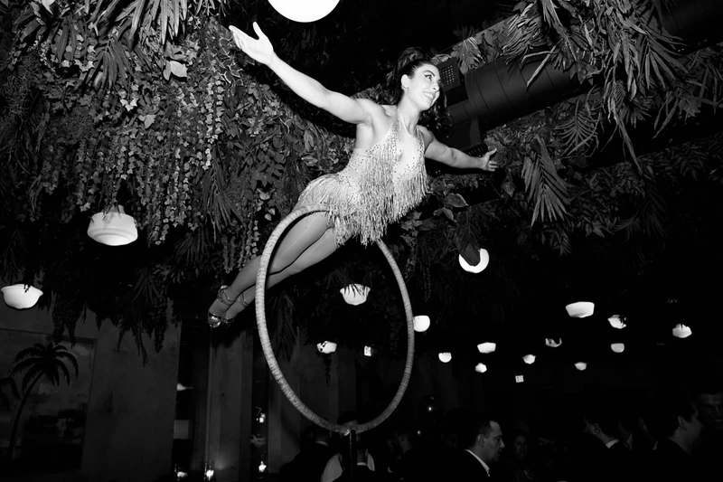Lollipop Lyra - Aerialist - Elegant theme - image 5 performer
