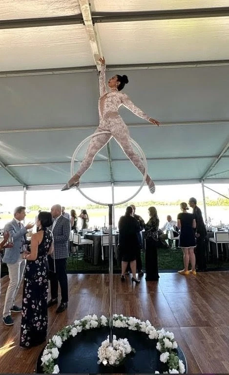 Lollipop Lyra - Aerialist - Elegant theme - image 6 performer