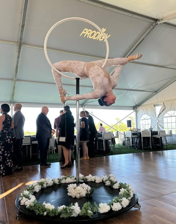 Lollipop Lyra - Aerialist - Elegant theme - image 3 performer