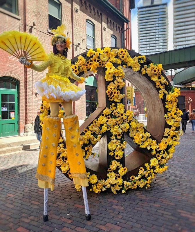 Amarella Buttercup - Stiltwalker - Family Friendly theme - image 3