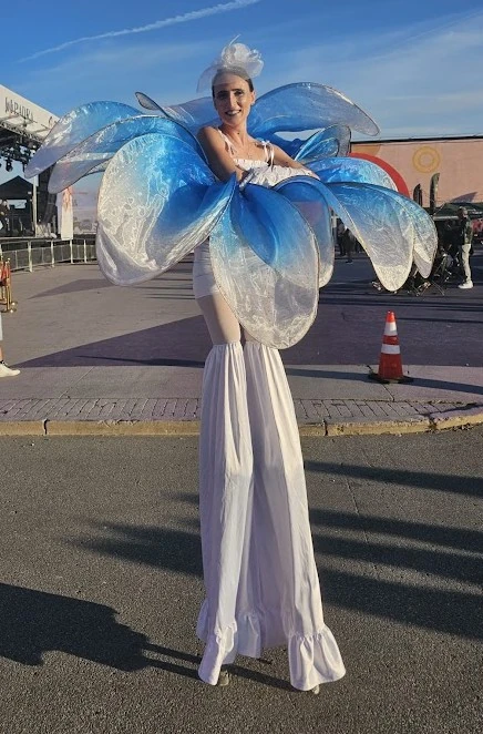 Blue Cornflower  - Stiltwalker - Elegant theme