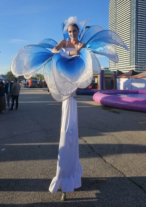 Blue Cornflower  - Stiltwalker - Elegant theme - image 4
