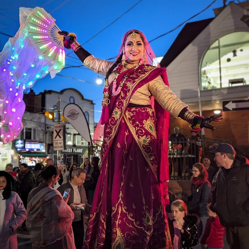 Bollywood / Diwali - Stiltwalker - Cultural theme - image 14