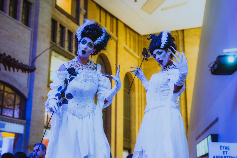 Brides of Frankenstien - Stiltwalker - Scary theme