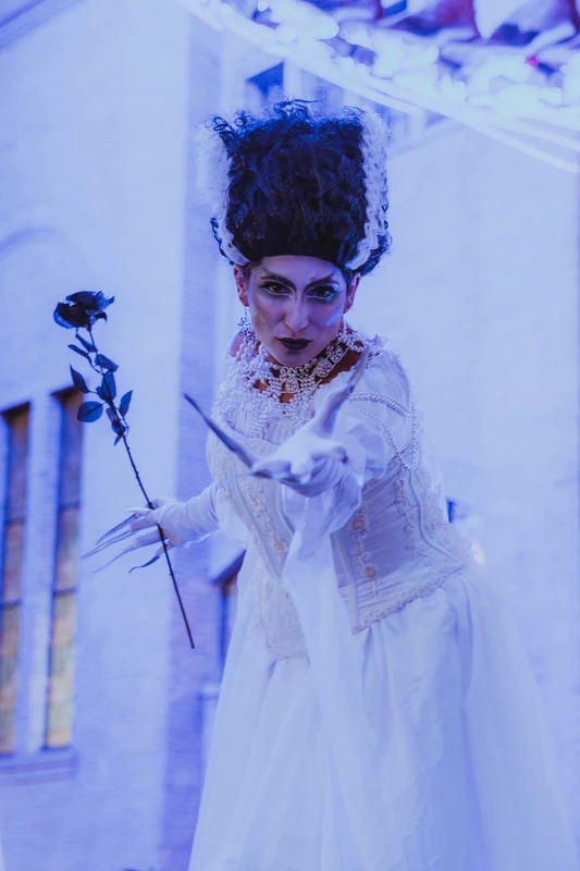 Brides of Frankenstien - Stiltwalker - Scary theme - image 2