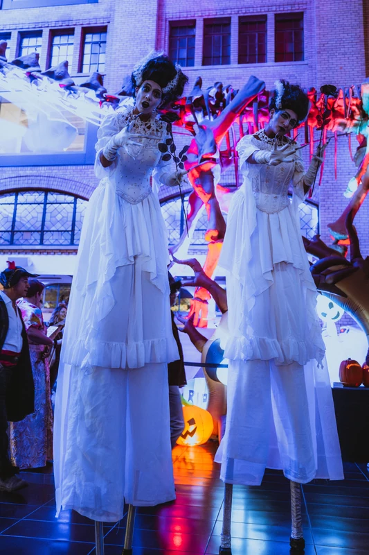 Brides of Frankenstien - Stiltwalker - Scary theme - image 4