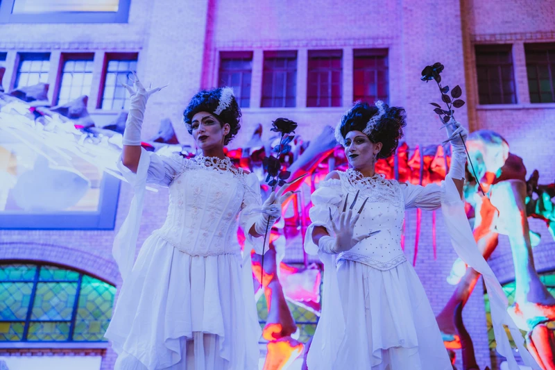 Brides of Frankenstien - Stiltwalker - Scary theme - image 6