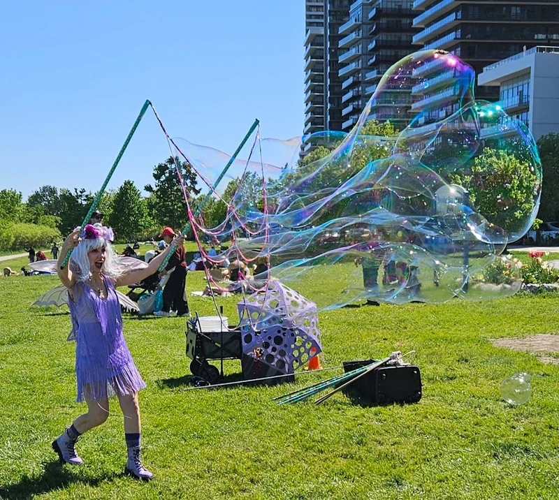 Bubble Fairy - Bubble Artist - Family Friendly theme - image 4