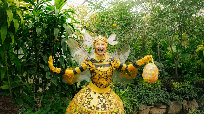 Buzzing Bee - Roamer / Dancer  - Animalia theme - image 4 performer