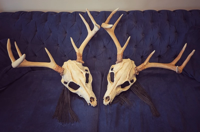 Cervus Mortis - Stiltwalker - Animalia theme - image 9