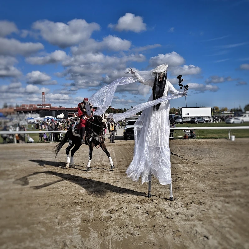 Corpse Brides - Stiltwalker - Scary theme - image 11