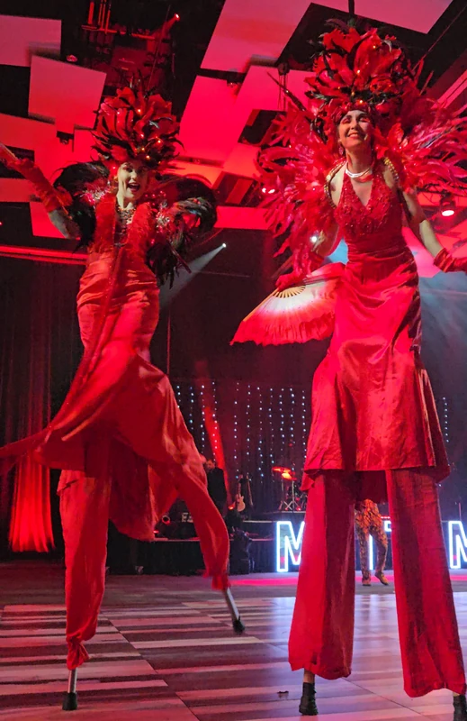 Fire and Ice - Stiltwalker - Duos theme - image 14