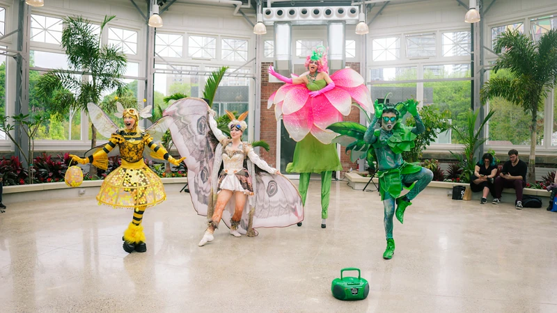 Grasshopper - Juggler - Garden theme - image 3 performer