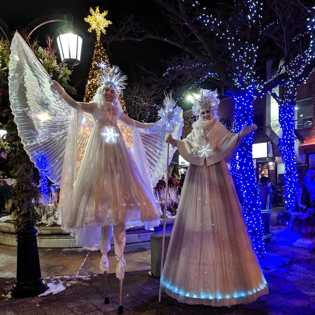 Classic Ice Queen - Stiltwalker - Winter theme - image 14