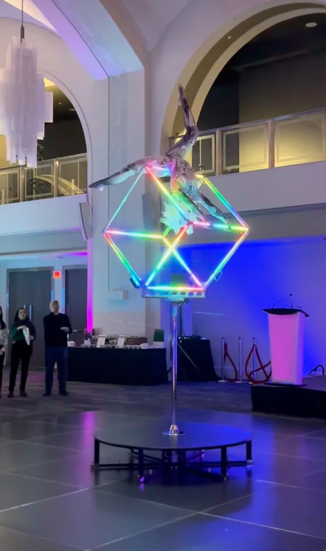 LED Cube Lolli - Aerialist - Elegant theme - image 9 performer