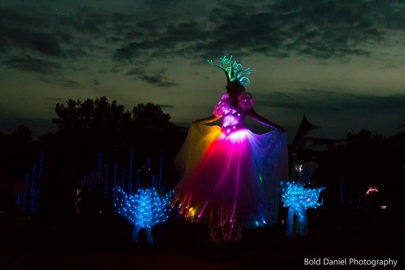 LED Crystal Queen - Stiltwalker - LED Lights theme - image 12