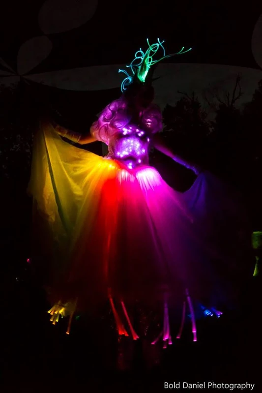 LED Crystal Queen - Stiltwalker - LED Lights theme - image 16