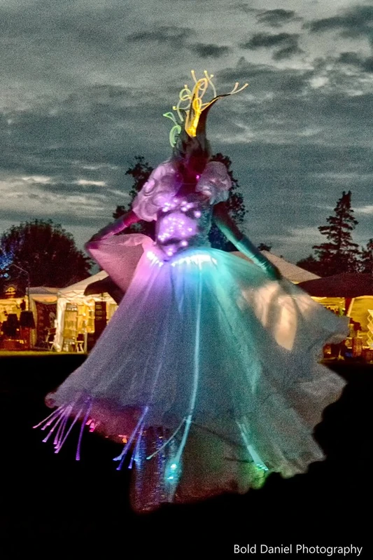 LED Crystal Queen - Stiltwalker - LED Lights theme - image 17