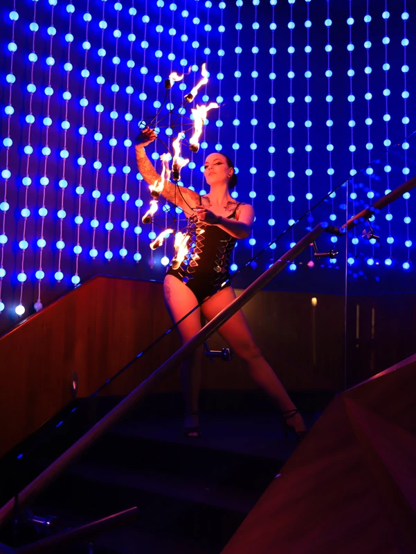 Livewire Fire - Fire Performer - Fire theme - image 4