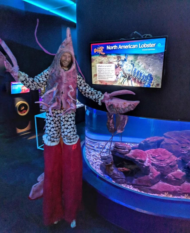 Lob-STAR Lobster - Stiltwalker - Animalia theme - image 12