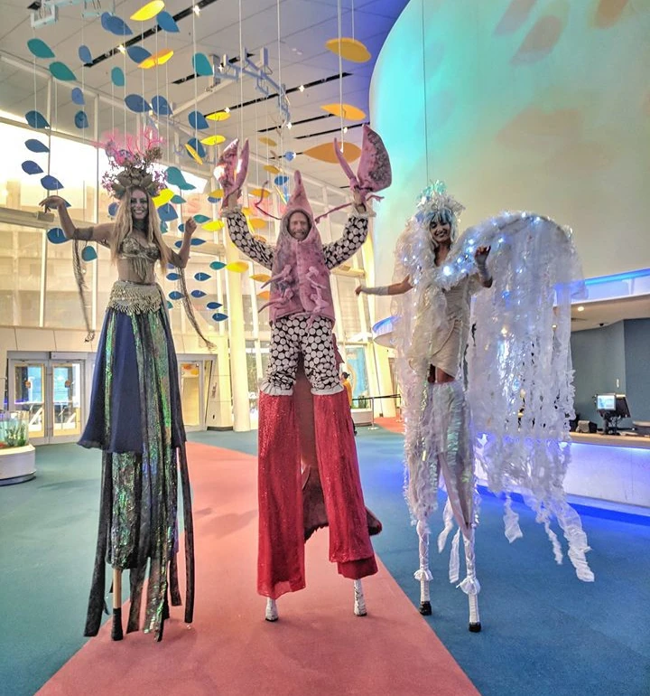 Lob-STAR Lobster - Stiltwalker - Animalia theme - image 13