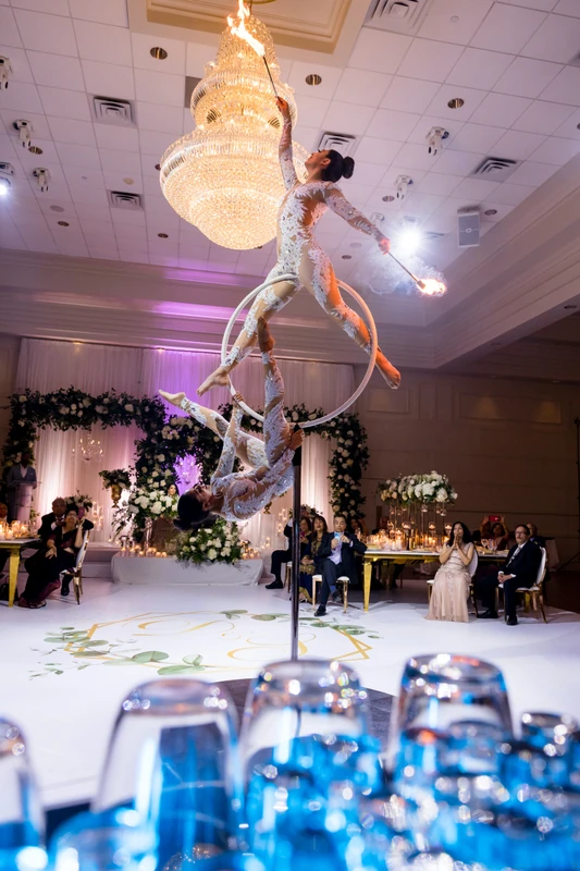 Lyra Lollipop Duo - Aerialist - Duos theme - image 3 performer