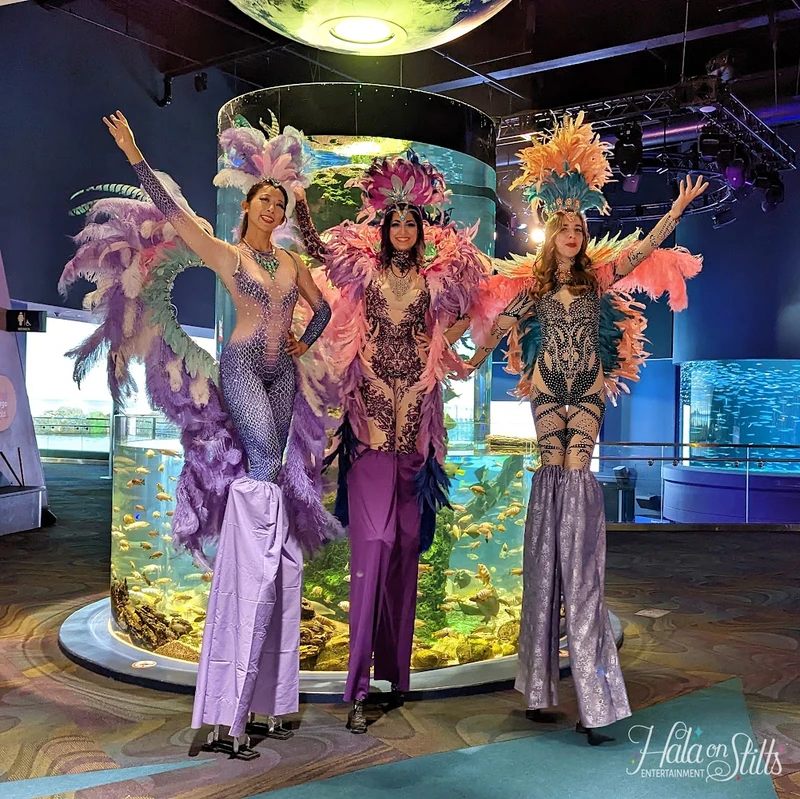 Mardis Gras Carnival Feathers - Stiltwalker - Feathers theme