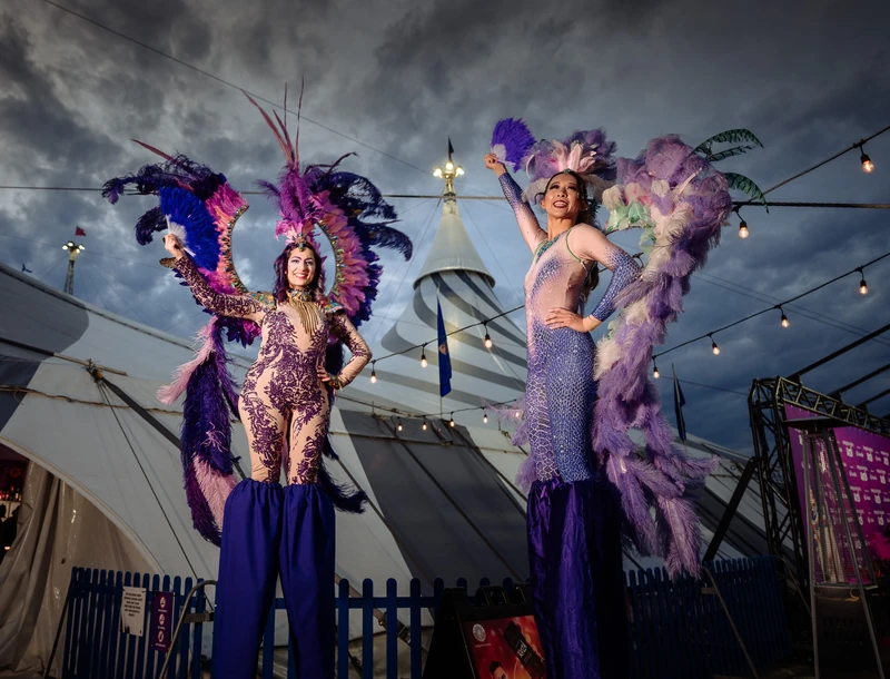 Mardis Gras Carnival Feathers - Stiltwalker - Feathers theme - image 3