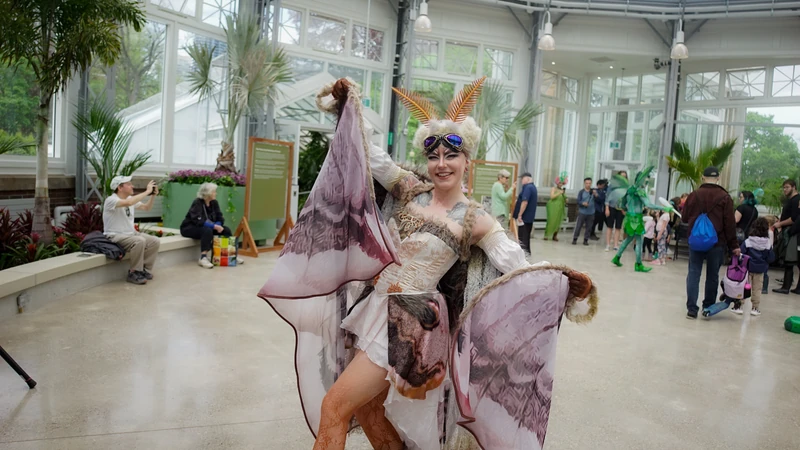 Moonlight Moth - Roamer / Dancer  - Animalia theme - image 3 performer