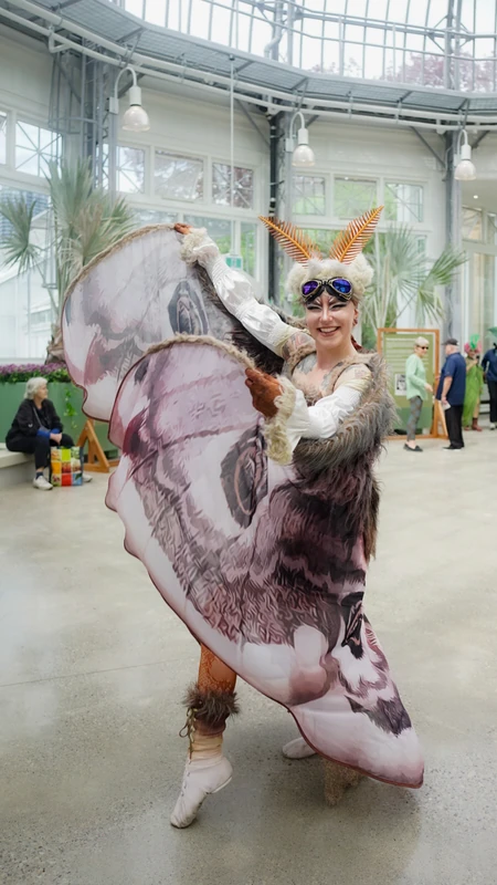 Moonlight Moth - Roamer / Dancer  - Animalia theme - image 4 performer