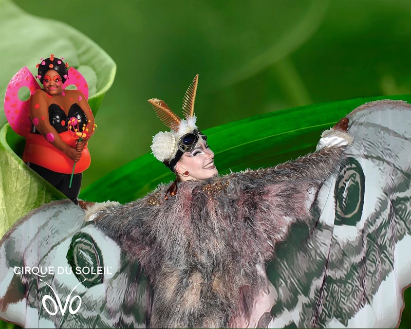 Moonlight Moth - Roamer / Dancer  - Animalia theme - image 6 performer