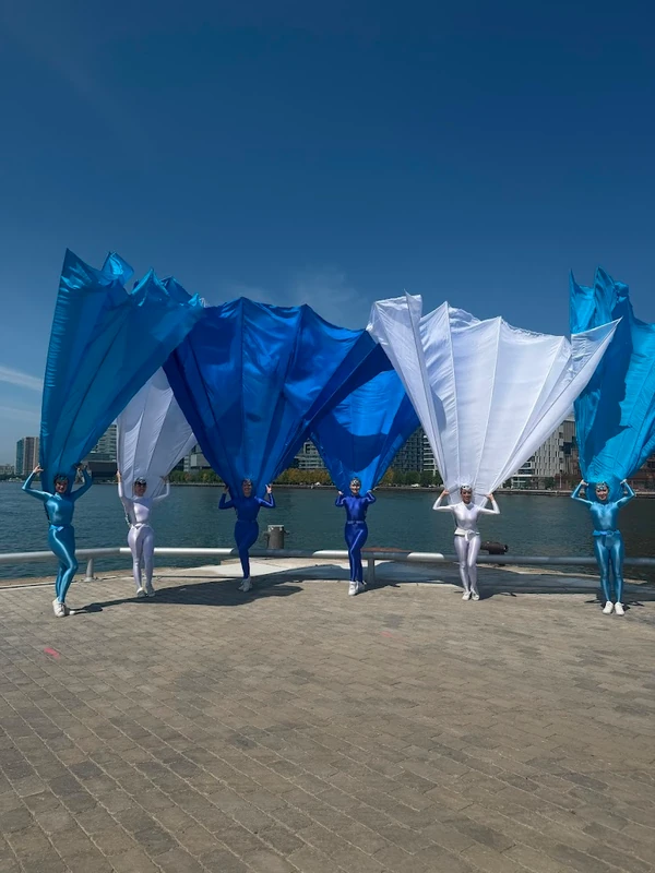 Peacock Fans - Roamer / Dancer - Duos theme performer