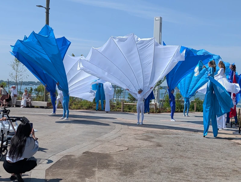 Peacock Fans - Roamer / Dancer - Duos theme - image 4 performer