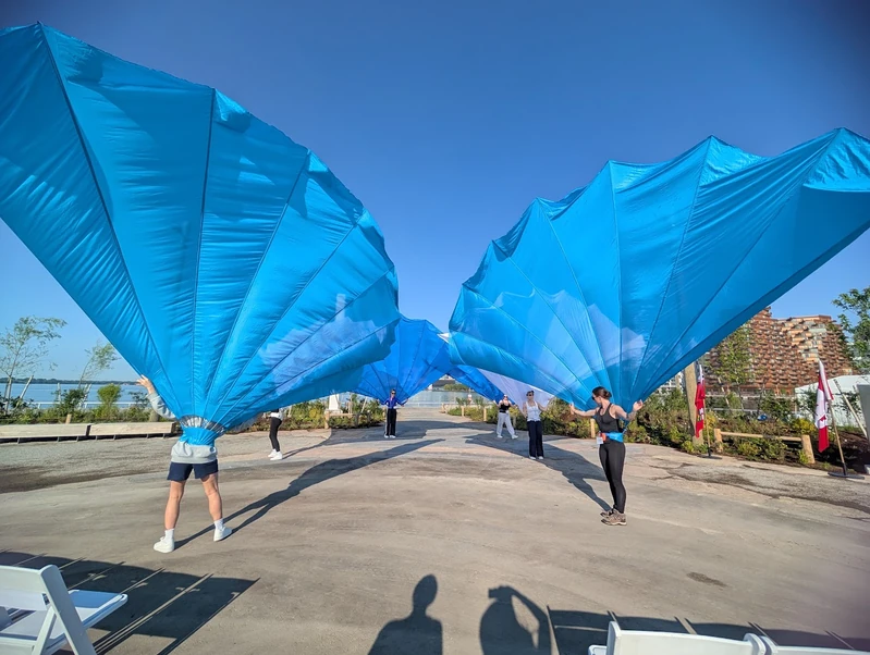 Peacock Fans - Roamer / Dancer - Duos theme - image 6 performer