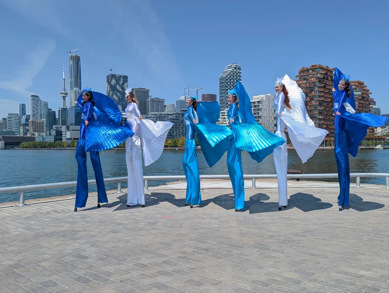 Peacock Parade - Stilt Walker - Duos theme - image 6