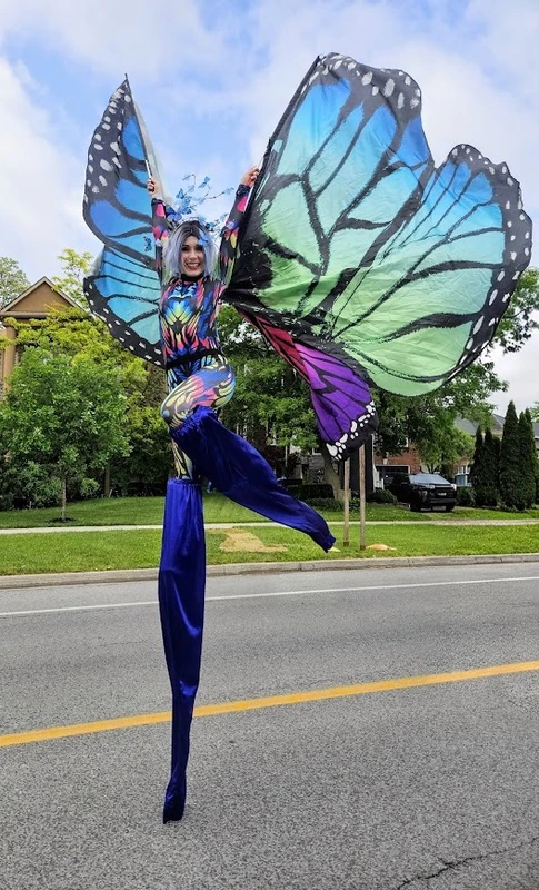 Periwinkle Papillon - Main Image