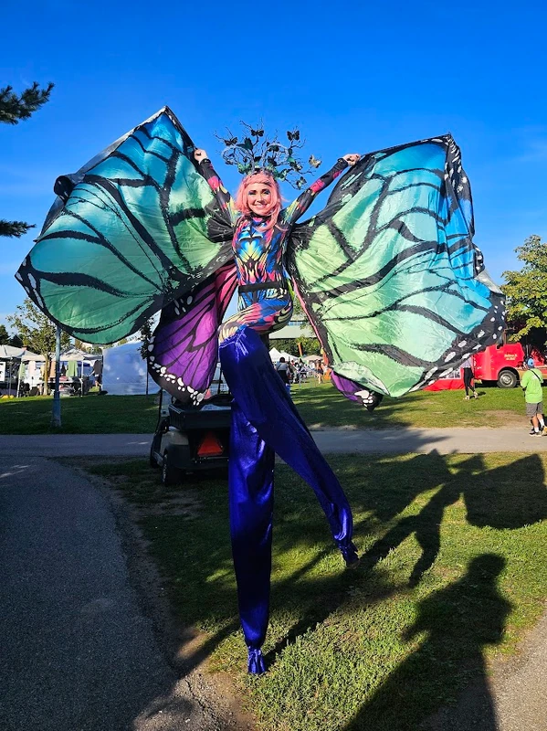 Periwinkle Papillon - Main Image