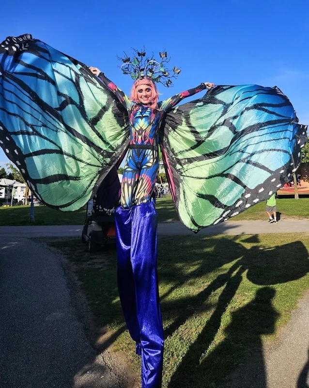 Periwinkle Papillon - Stiltwalker - Animalia theme - image 3