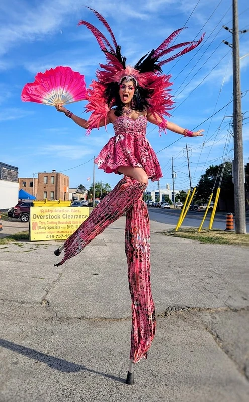 Pink Flamingos - Stiltwalker - Duos theme - image 11