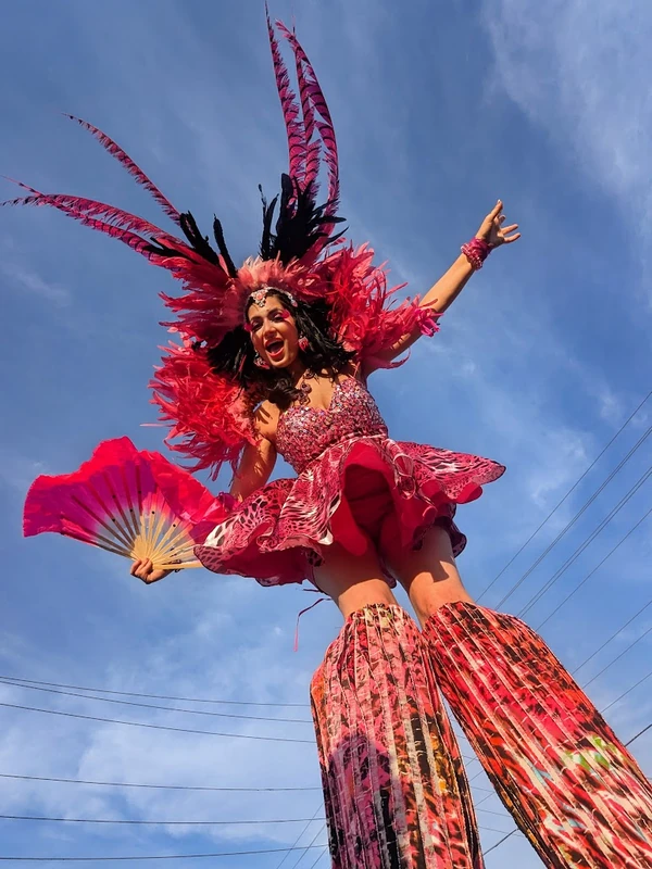 Pink Flamingos - Stiltwalker - Duos theme - image 12