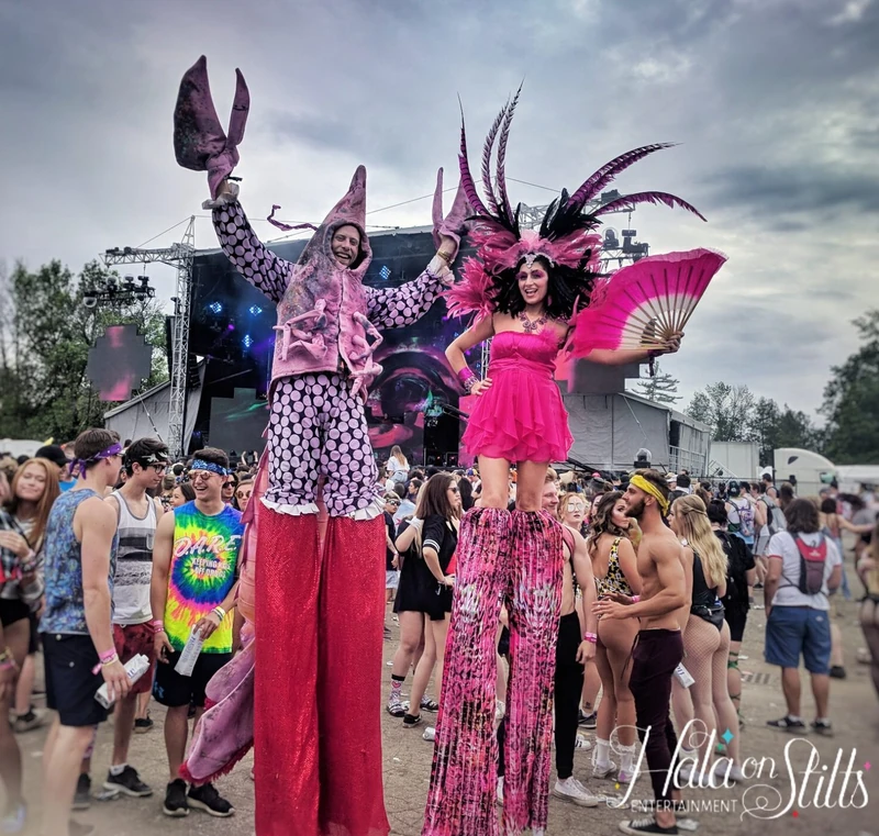 Pink Flamingos - Stiltwalker - Duos theme - image 2