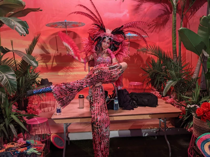 Pink Flamingos - Stiltwalker - Duos theme - image 5