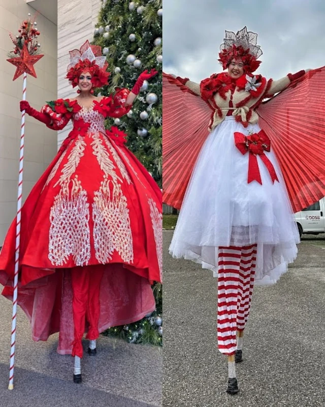 Poinsettia Princess - Main Image