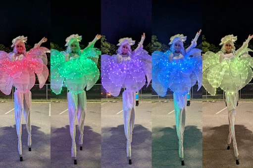 Radiant Blooms - Stilt Walker - Duos theme - image 9