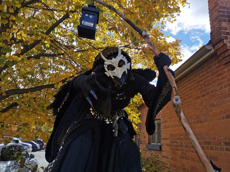 Raven Sorcerer - Stiltwalker - Scary theme - image 3
