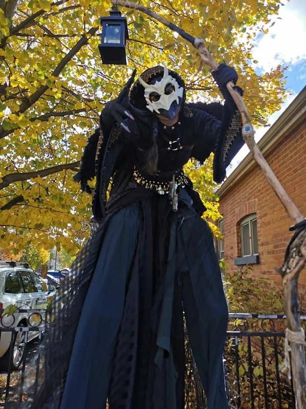 Raven Sorcerer - Stiltwalker - Scary theme - image 5