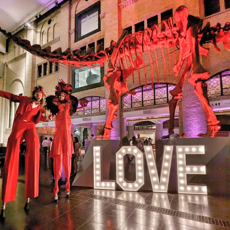 Red Carpet Gala - Stiltwalker - Feathers theme