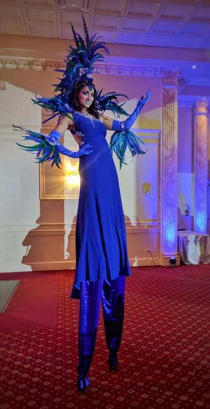 Royal Blue Ball - Stiltwalker - Feathers theme - image 19