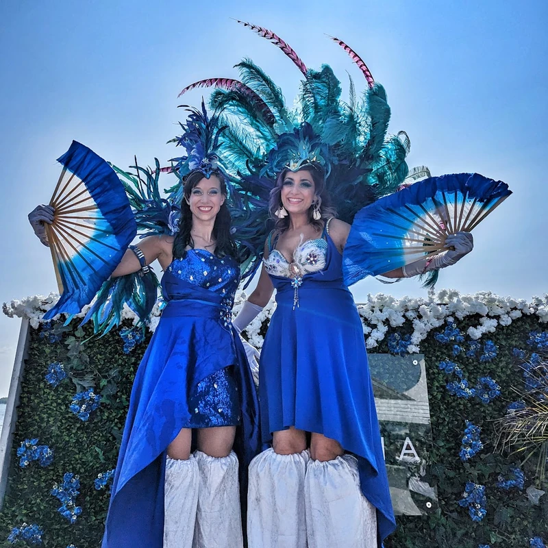 Royal Blue Ball - Stiltwalker - Feathers theme - image 4
