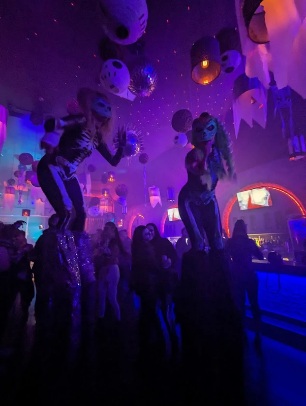 Skelegirls - Stiltwalker - Scary theme - image 4